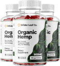 Buy three bottles get two free package
